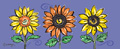 Image Not Available
